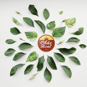 benefícios do chá verde