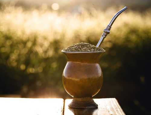 Como surgiu o chimarrão? Descubra a origem e o significado desse ritual