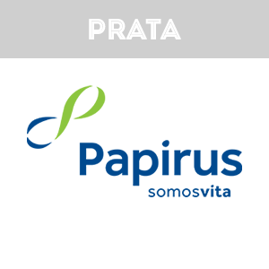 patrocinadores_logo_PAPIRUS