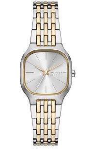 Relógio Bicolor Feminino Analógico Skagen